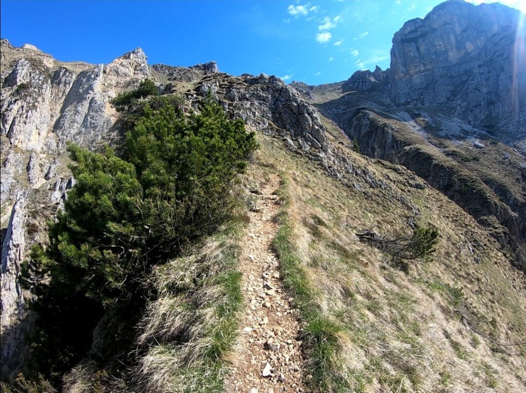 Parte finale del sentiero Val Fontana D'oro prima di sbucare sulla strada delle 52 gallerie sul Monte Pasubio