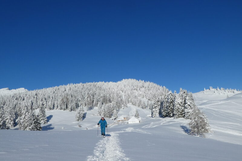 ecco un'immagine della val formica innevata sull'altopiano di asiago. I colori predominanti son il bianco candido della neve e il blu del cielo