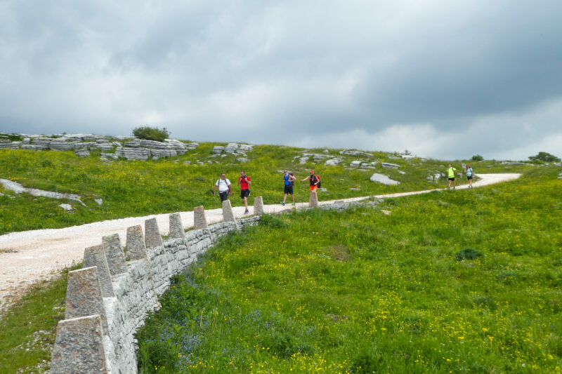 sentiero in lessinia fra i pascoli verdi verso madonna della Corona