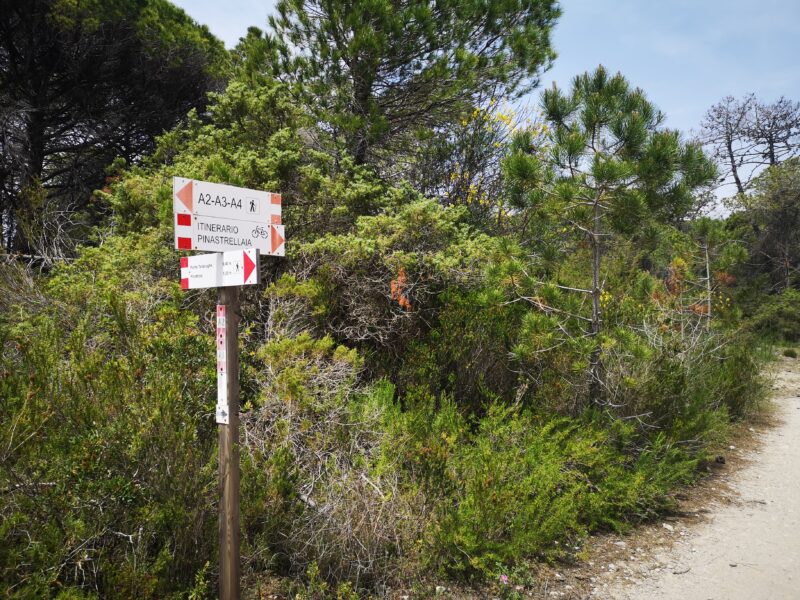 parco della maremma indicazioni strada della pinastrellaia