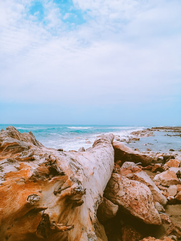 spiagge selvagge all'interno del parco della maremma in toscana