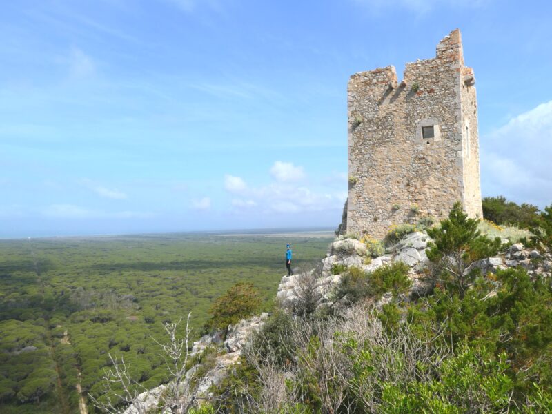 Torre di Castelmarino all'interno del parco della maremma