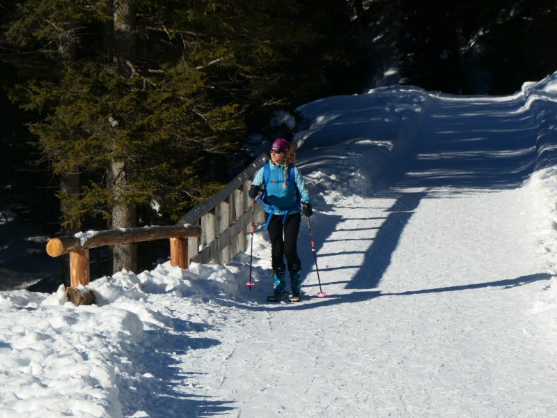 Val Venegia, verso malga Venegiota