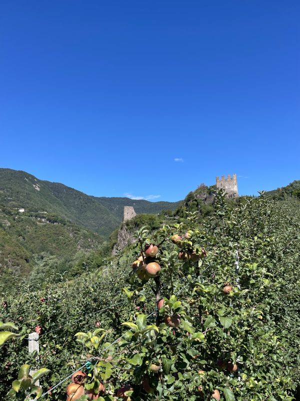 Le torri del Castello di Segonzano