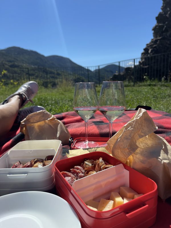 Cestino picnic