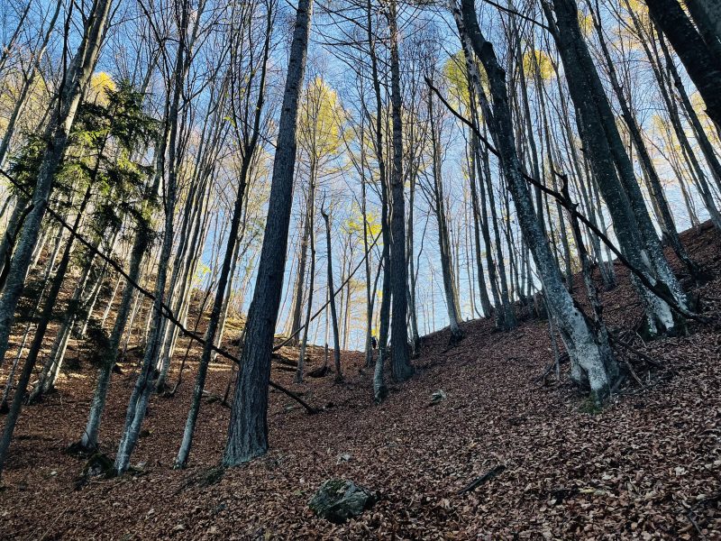 verso Sella di Trappola