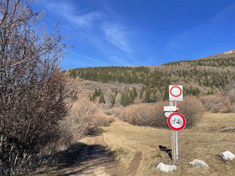 Il sentiero verso il Monte Stivo