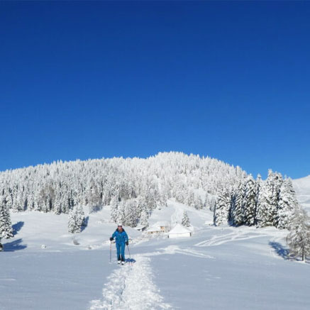 escursioni montagna in trentino