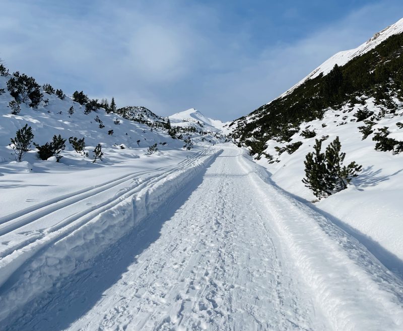 Strada forestale che conduce al rifugio Sennes