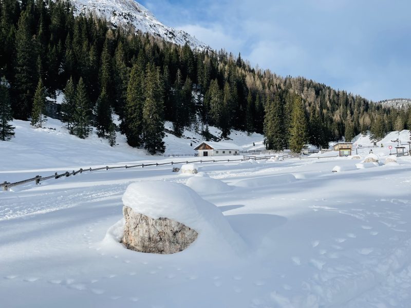 Alpeggio di Malga Ra Stua