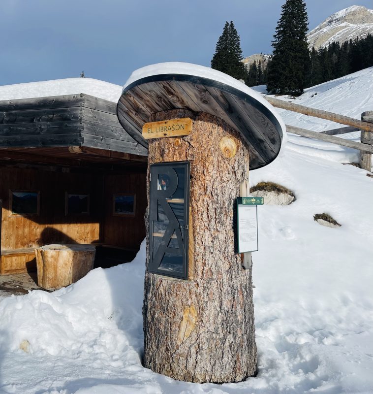 porta libri su tronco d'albero Malga Ra Stua