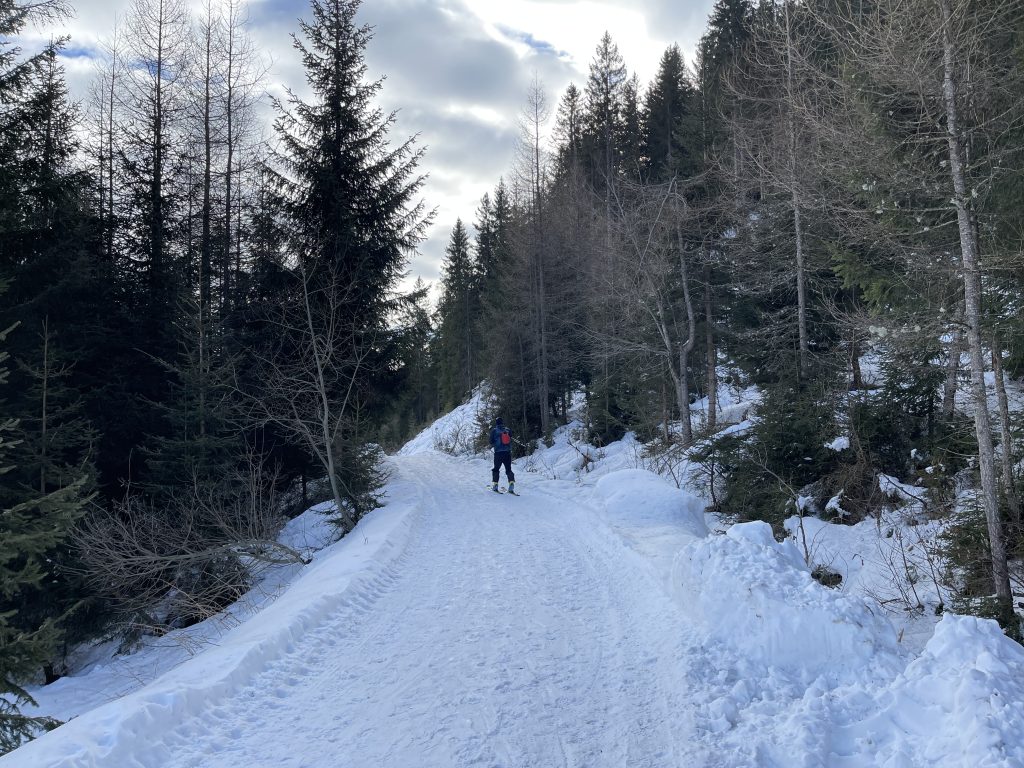 Strada forestale