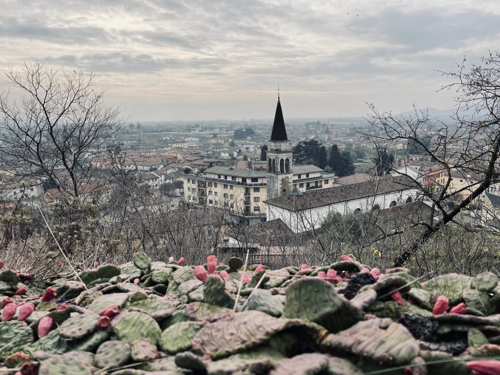 Vista su Montecchio Maggiore