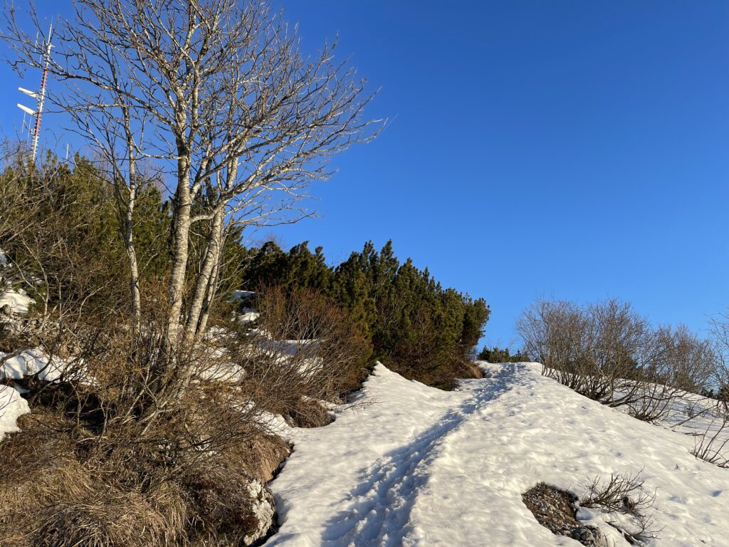 Salita verso la cima del Monte Zugna