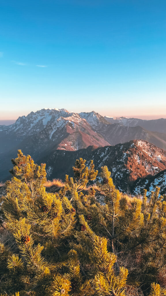 Panorama verso il Gruppo del Carega