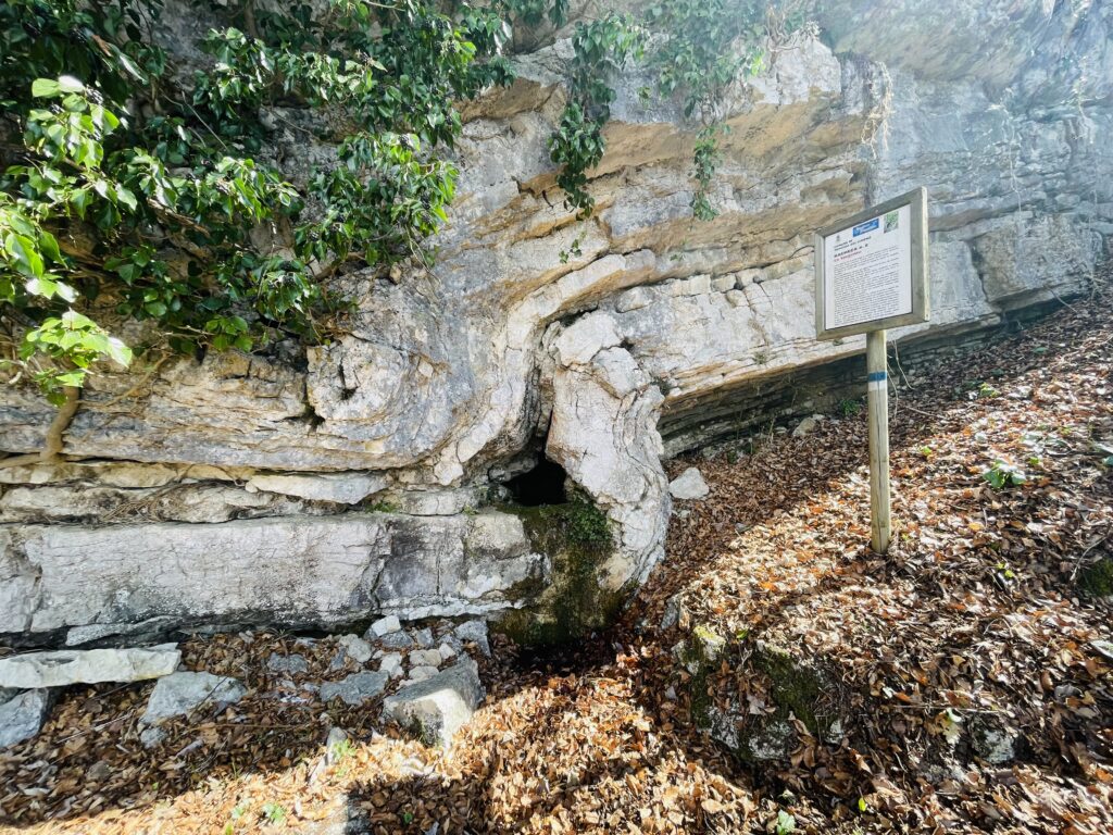 Sorgente lungo il sentiero Excalibur