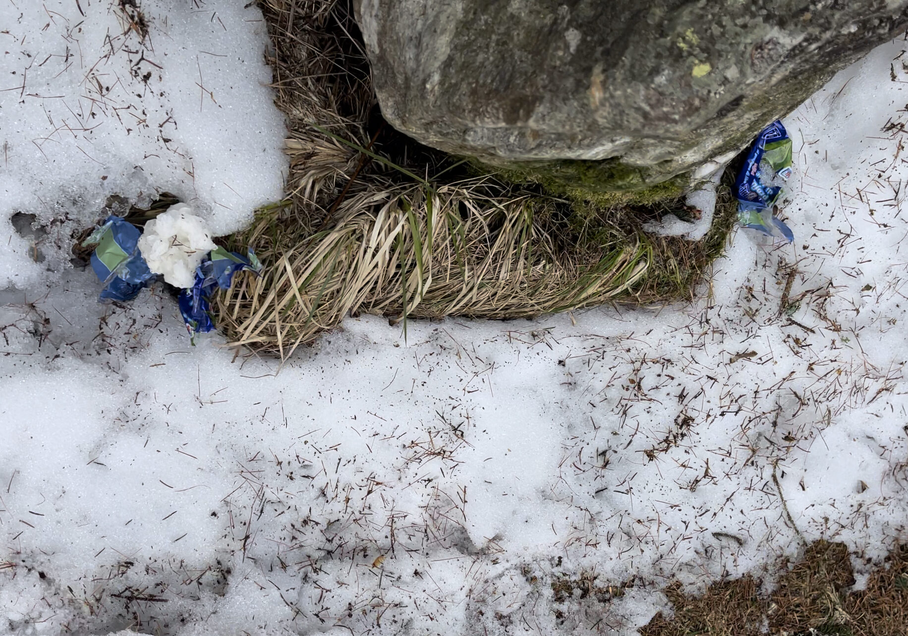 Rifiuti in montagna