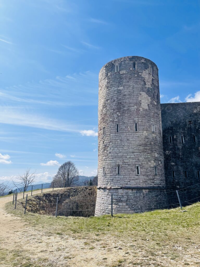 La torre del Forte