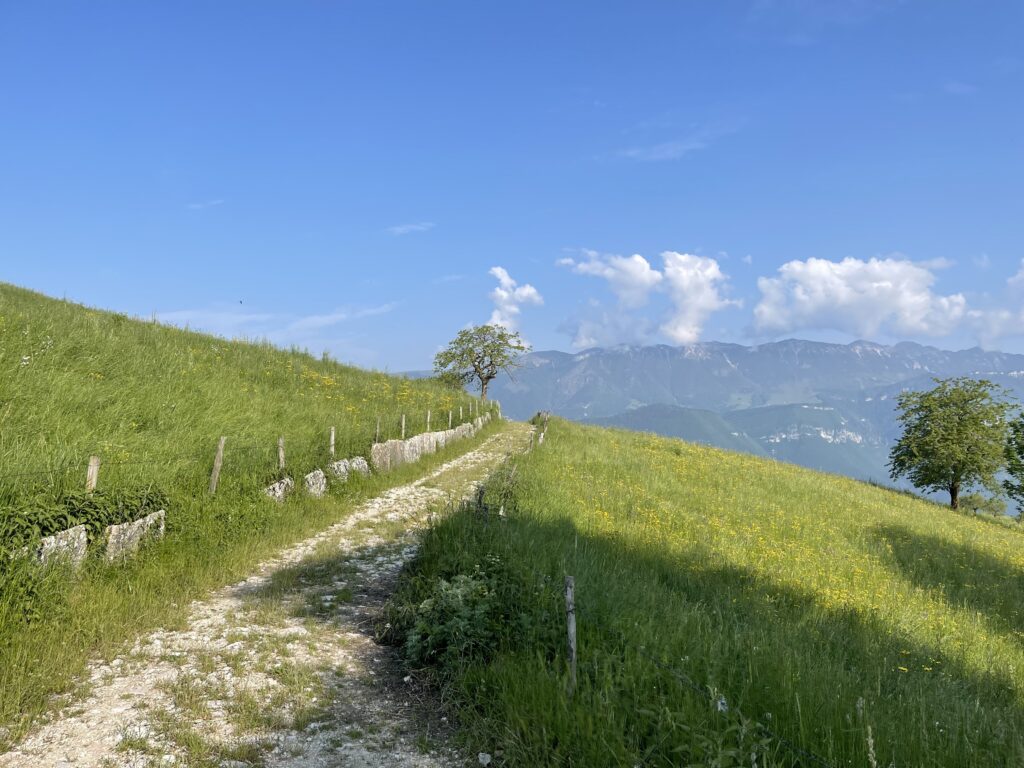 Sentiero del Giubileo da Fosse, fra verdi pascoli