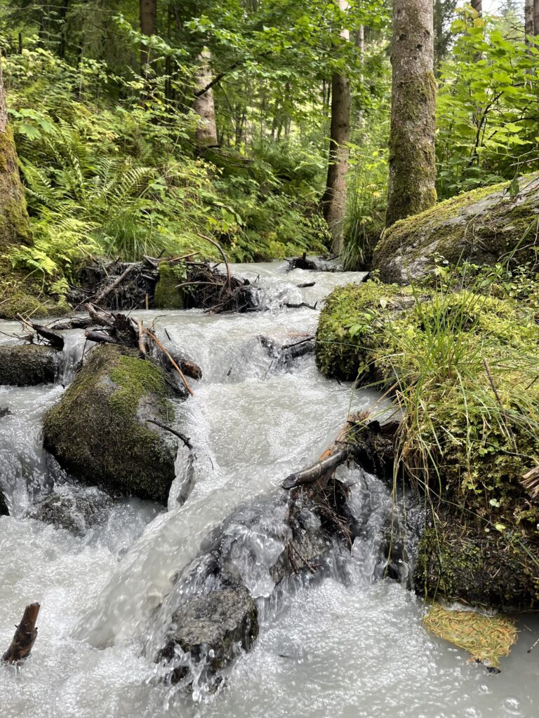 ruscello lungo il sentiero in Val Ridanna