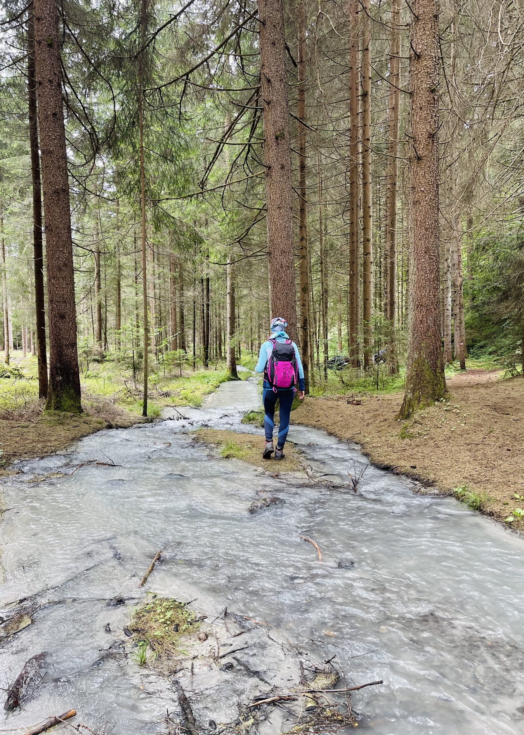 sentiero Bosco e Acqua a Mareta