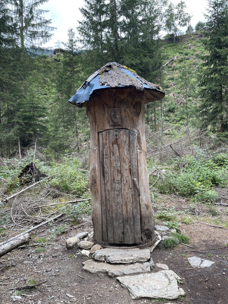 stazione i suoni del bosco