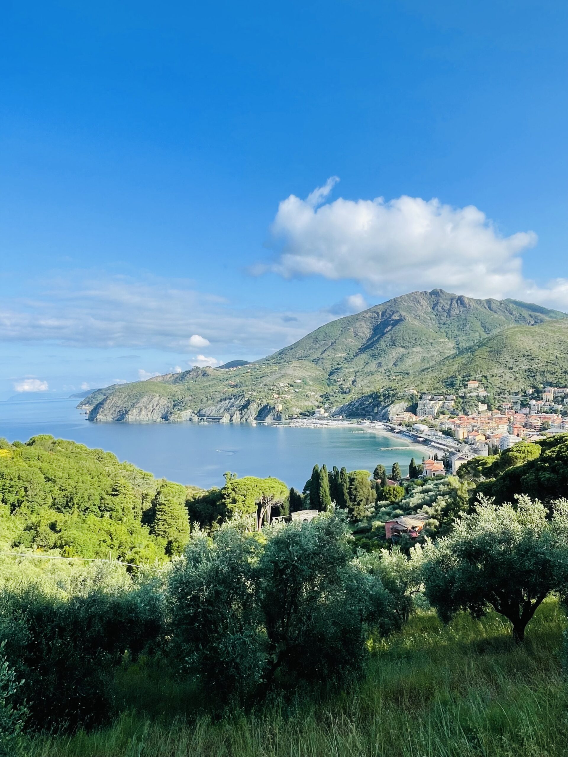 Levanto, vista sul borgo dal sentiero delle Cinque terre