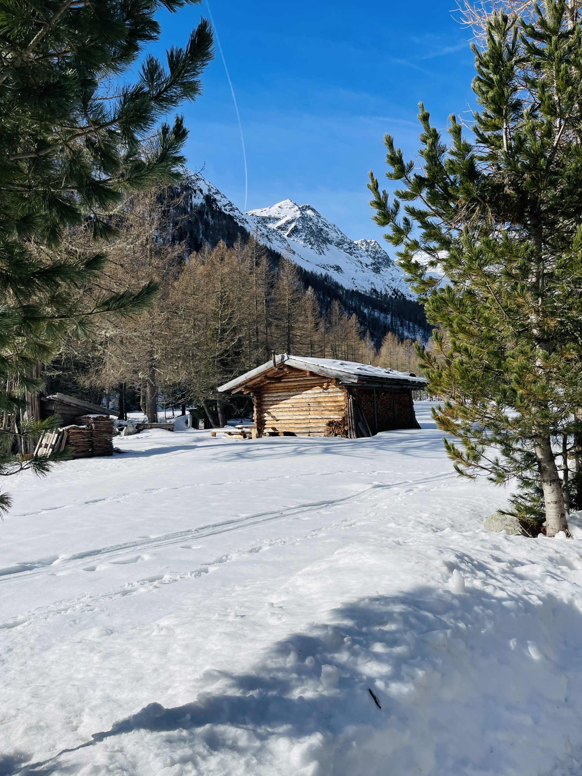 Panorama a inizio del sentiero, qualche malga fra il bosco