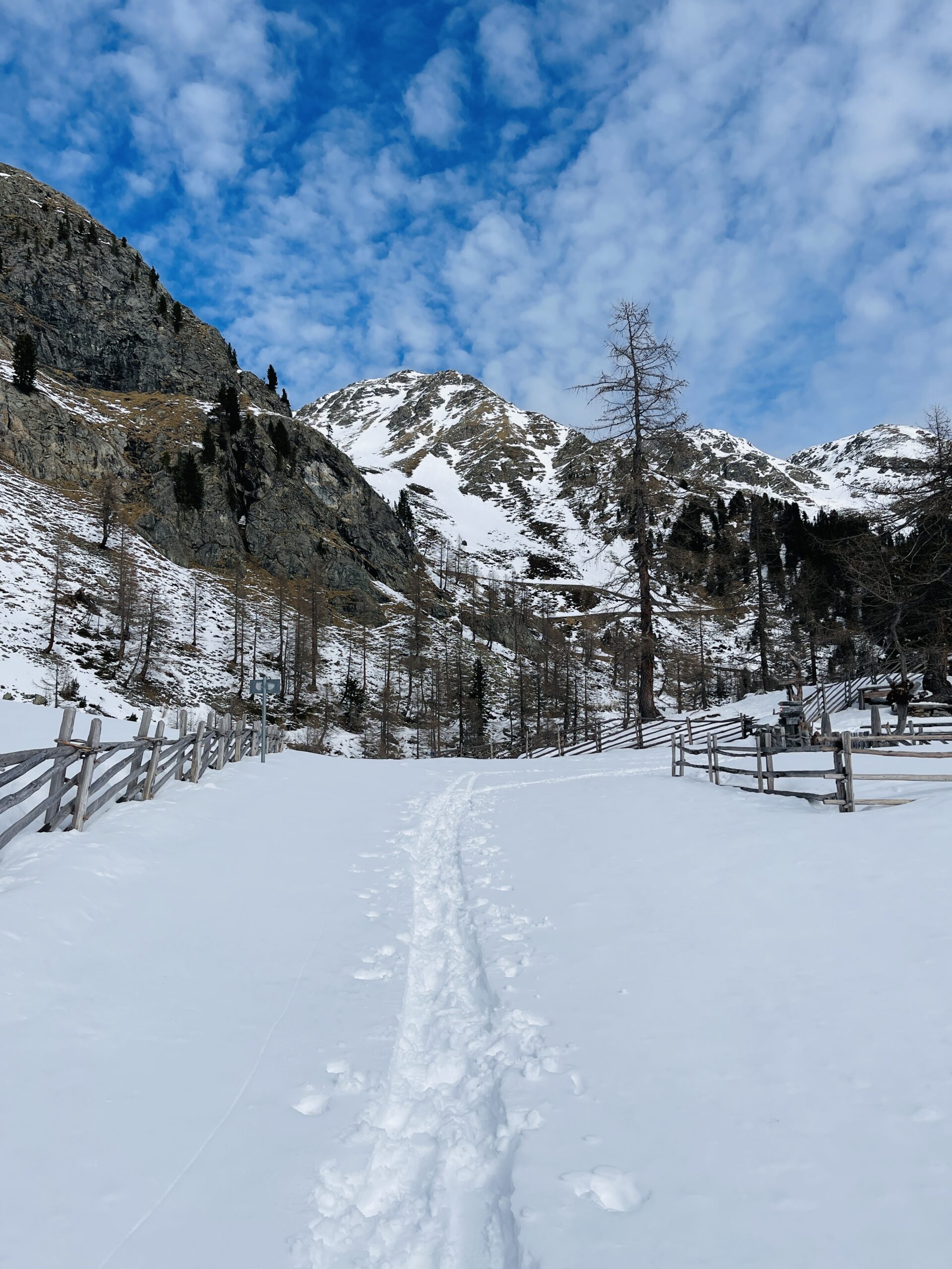 tracciato innevato