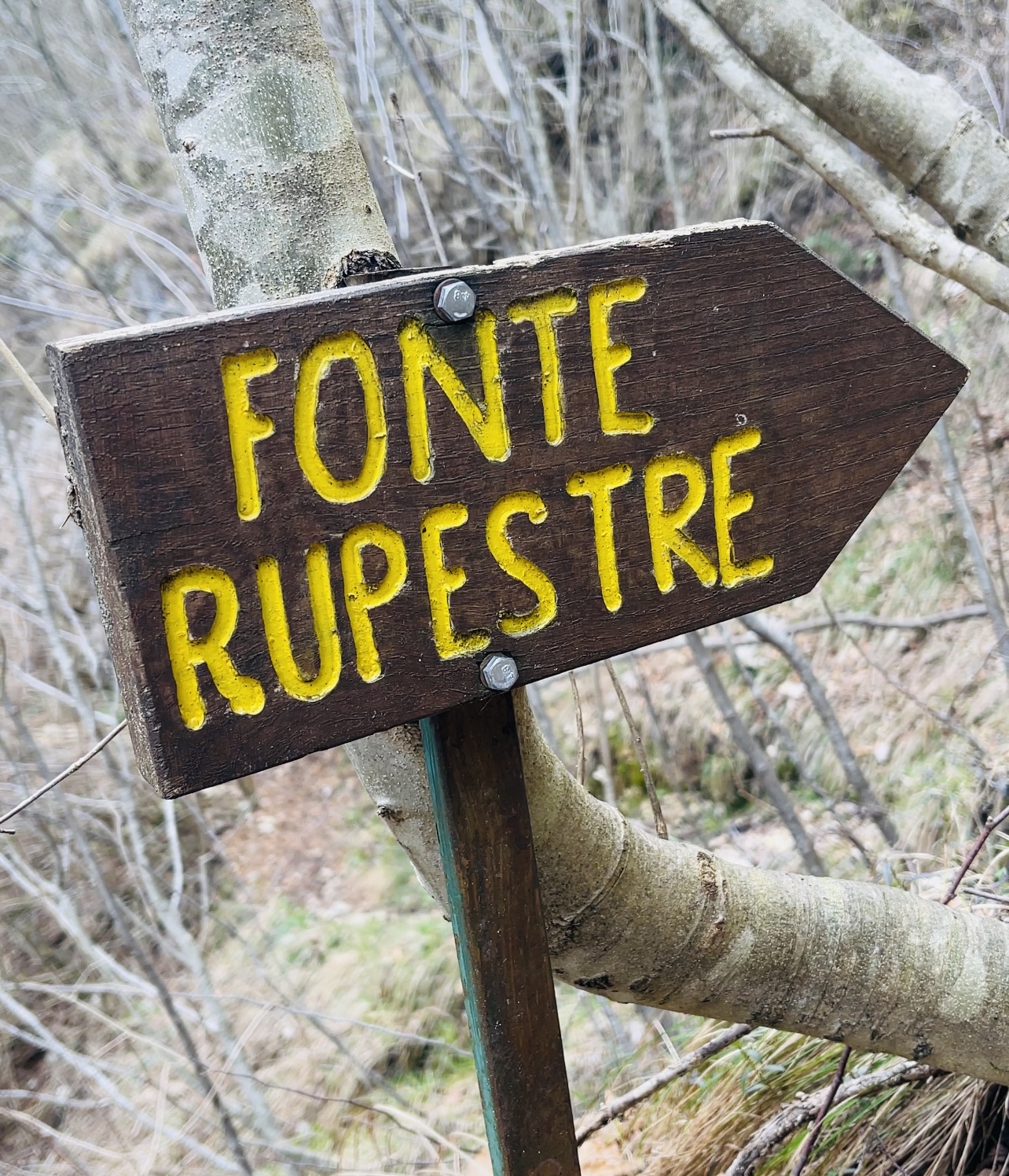 Deviazione per la fonte ruprestre