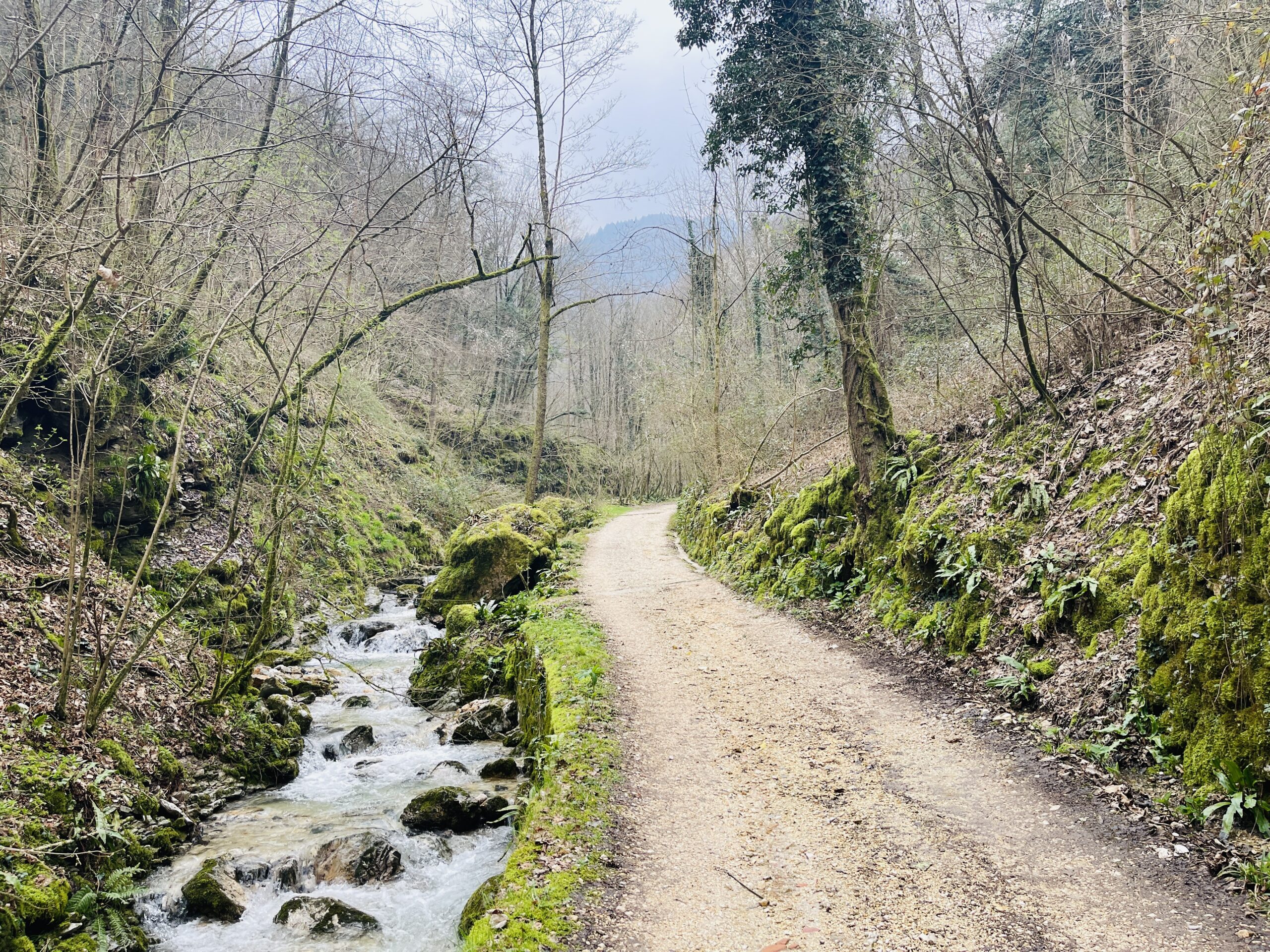 La strada sterrata verso l'inizio del Sentiero Braggion con il torrente a sinistra