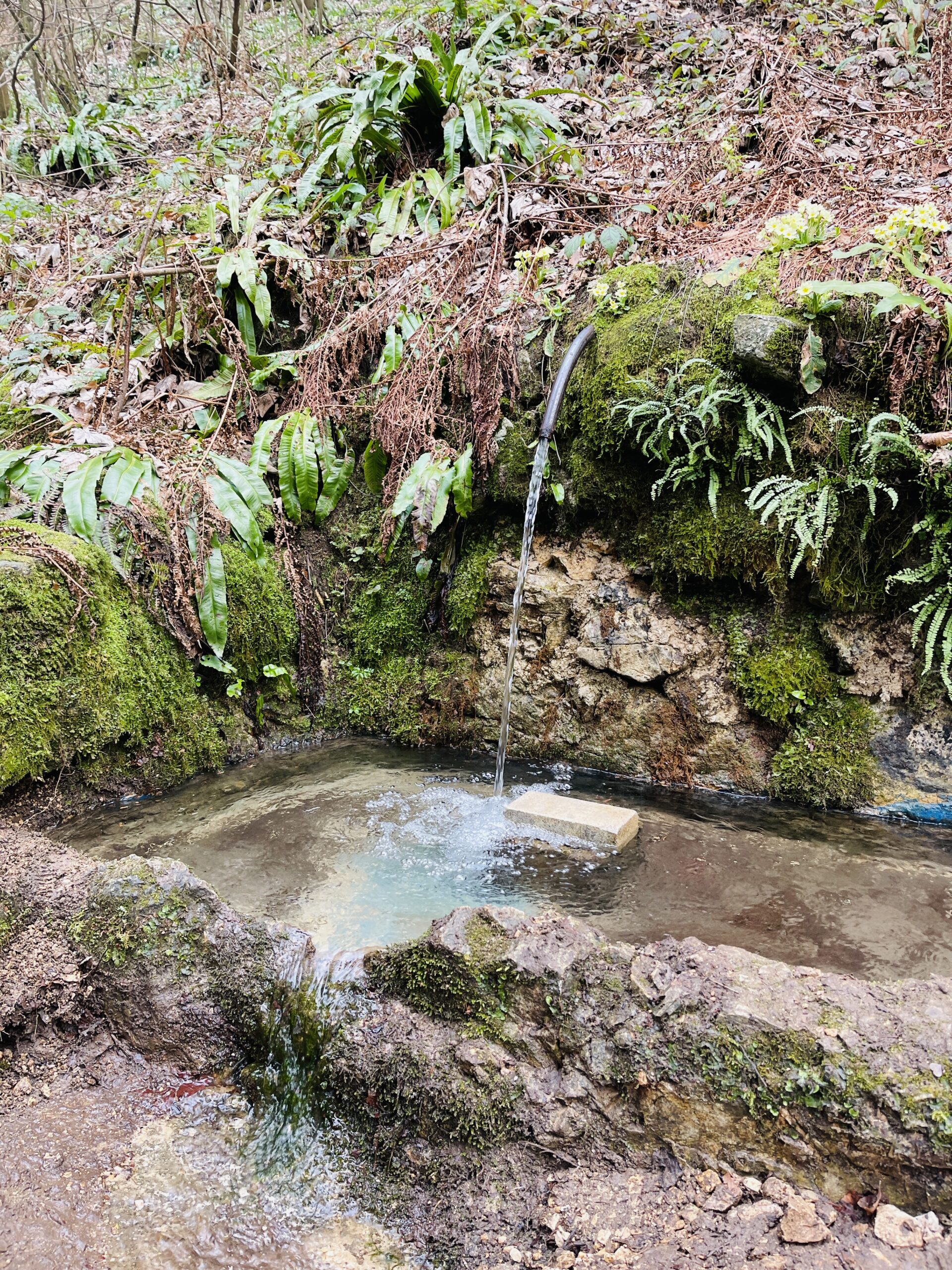 fontanella presso Baite dei vecia