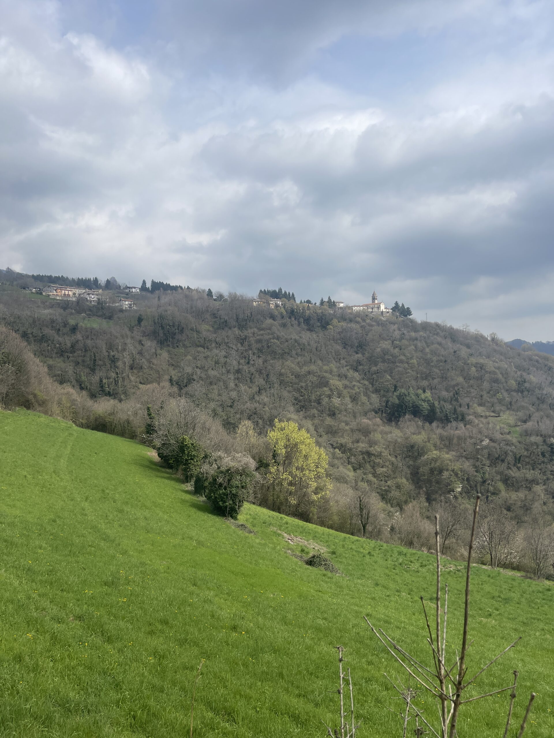 Sguardo verso la Chiesa di Marana fra verdi prati