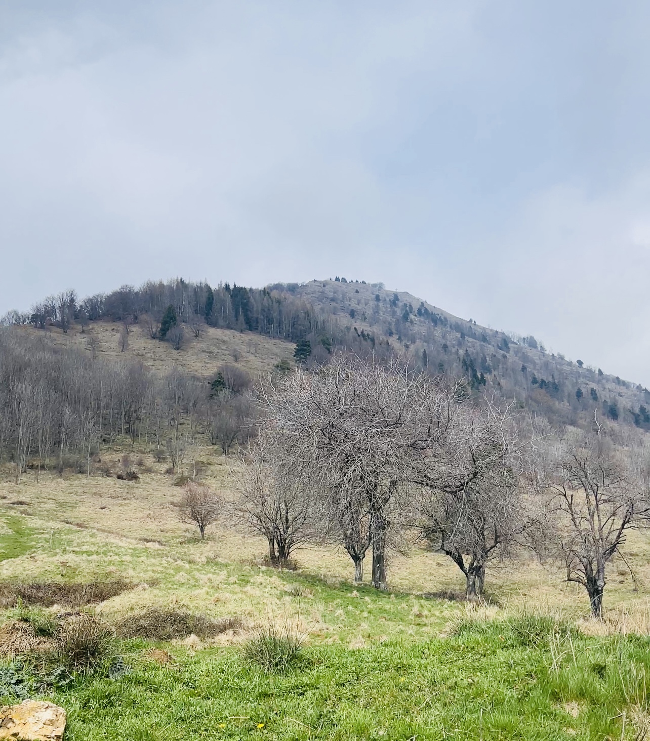 la meta, cima Marana, da lontano